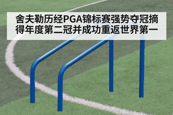 舍夫勒历经PGA锦标赛强势夺冠摘得年度第二冠并成功重返世界第一